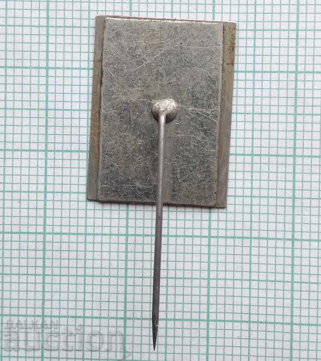 Auction  18758 Badges - Decade 1870-1970