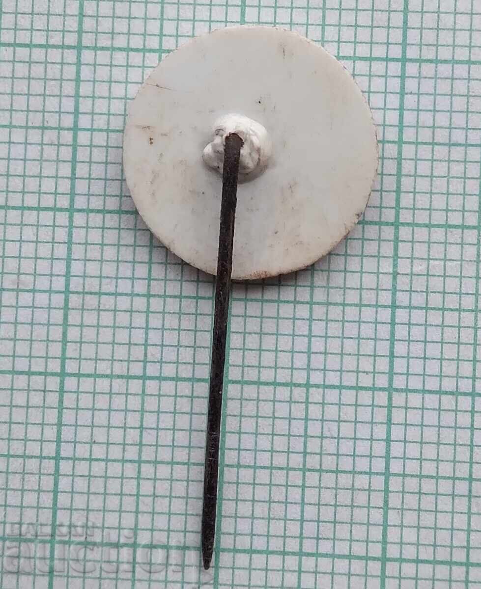 Auction 18760 Badges Auction 18760 Badges