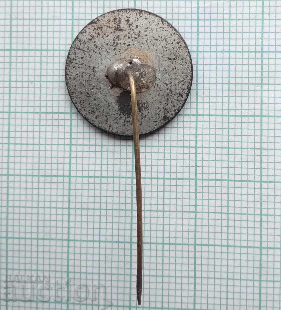 Auction 18762 Badges - 5 Years of the Bulgarian Communist Party Peshtera 1901-1976 Auction 18762 Badges - 5 Years of the Bulgarian Communist Party Peshtera 1901-1976