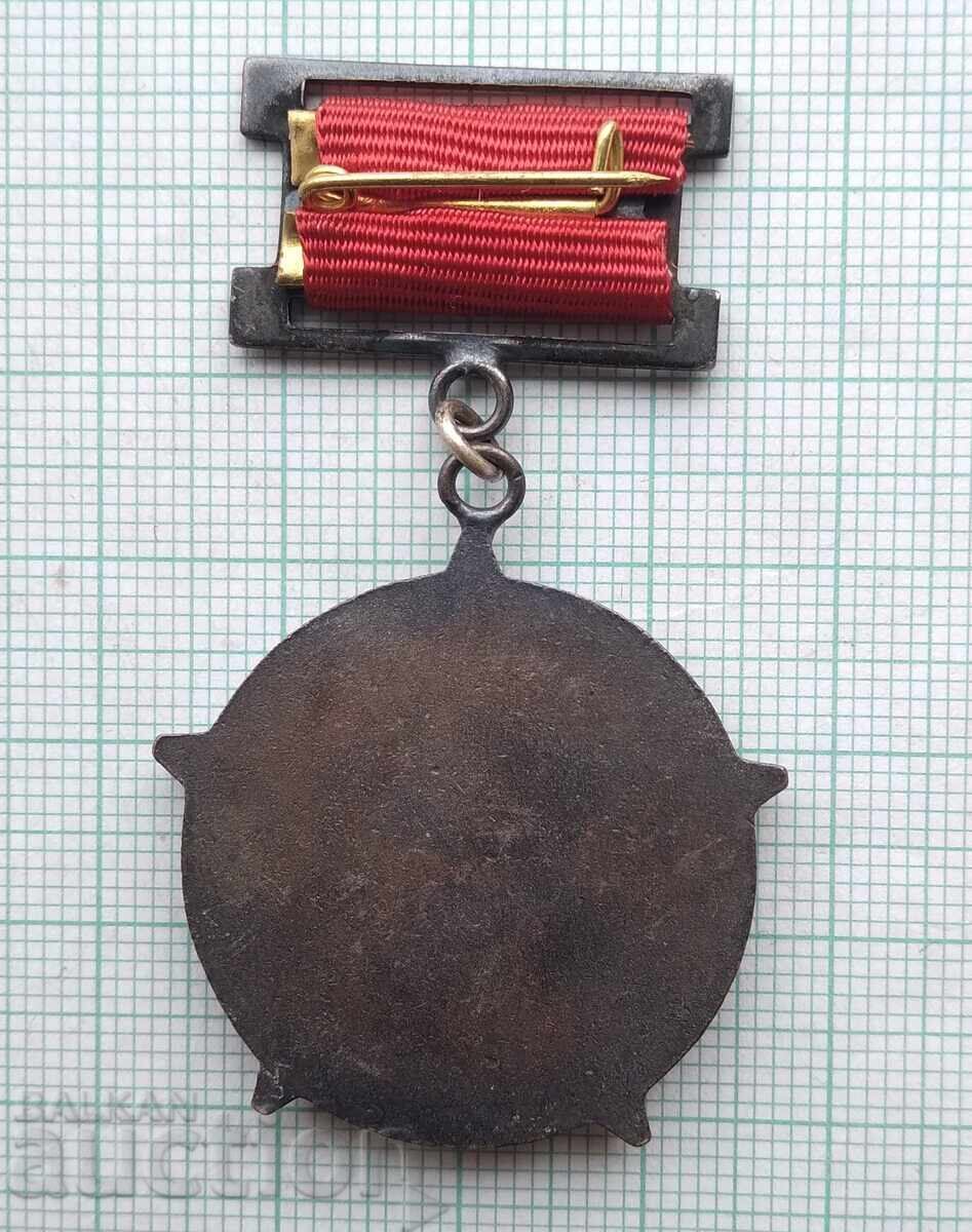 Auction  18768 Badge - For Merit - GO - NRB