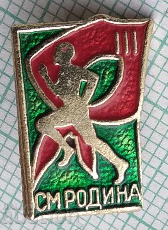 18779 Badges - SM Rodina 18779 Badges - SM Rodina