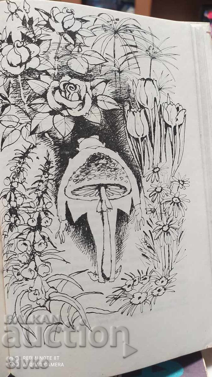 Παράδοση Οι περιπέτειες του καθηγητή Πόπεν στο βάλτο, Γιοσιχίτο Φούνα