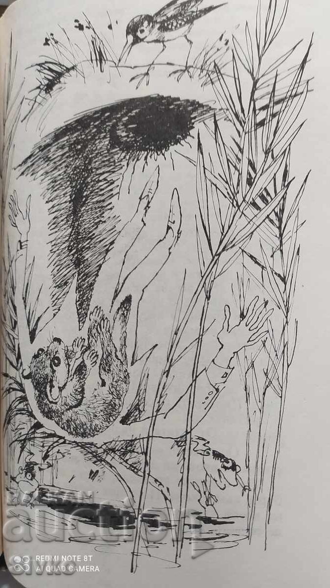 Οι περιπέτειες του καθηγητή Πόπεν στο βάλτο, Γιοσιχίτο Φούνα - 6