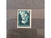 Bulgaria 1958 Vegetables