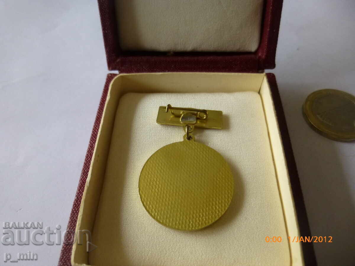 нагръден знак - Основно училище д-р П.Берон Шейново с цена 12.00 лв. | € 6.14