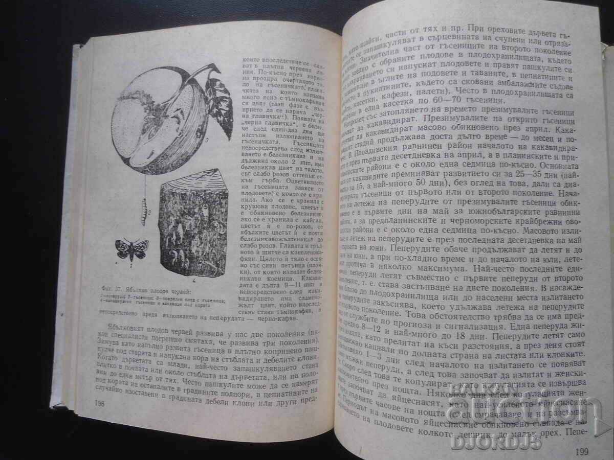 Diseases and enemies of fruit tree species - 7