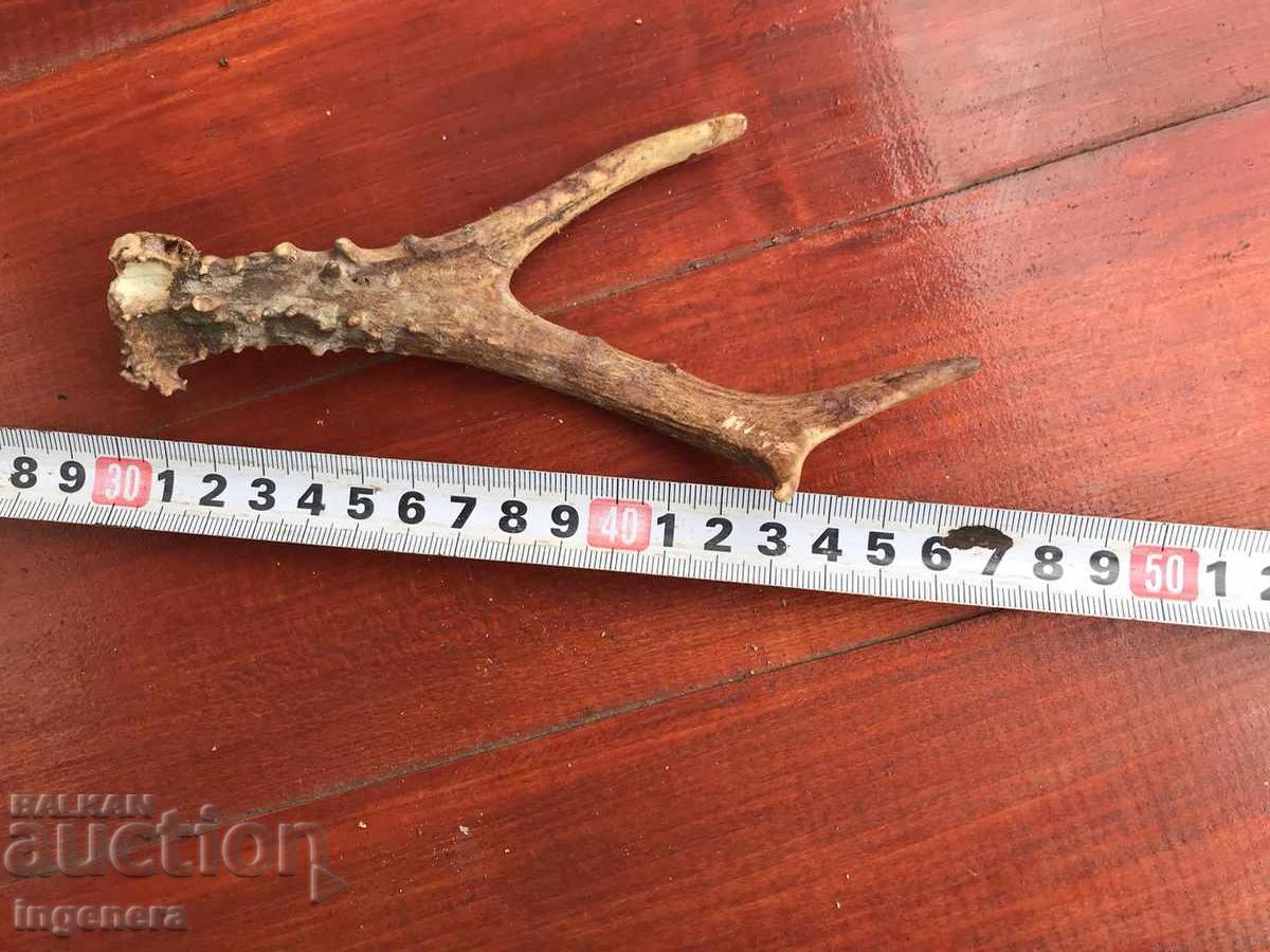 РОГ СРЪНДАК СЪРАНДАК ЗА ДРЪЖКА НА НОЖ ИЛИ УКРАСА РОГ СРЪНДАК СЪРАНДАК ЗА ДРЪЖКА НА НОЖ ИЛИ УКРАСА