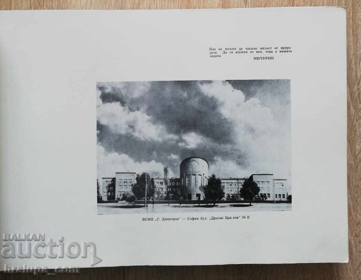 Licitație Album de promoție a 40-a a Institutului Superior de Agricultură 1959-1964 Licitație Album de promoție a 40-a a Institutului Superior de Agricultură 1959-1964