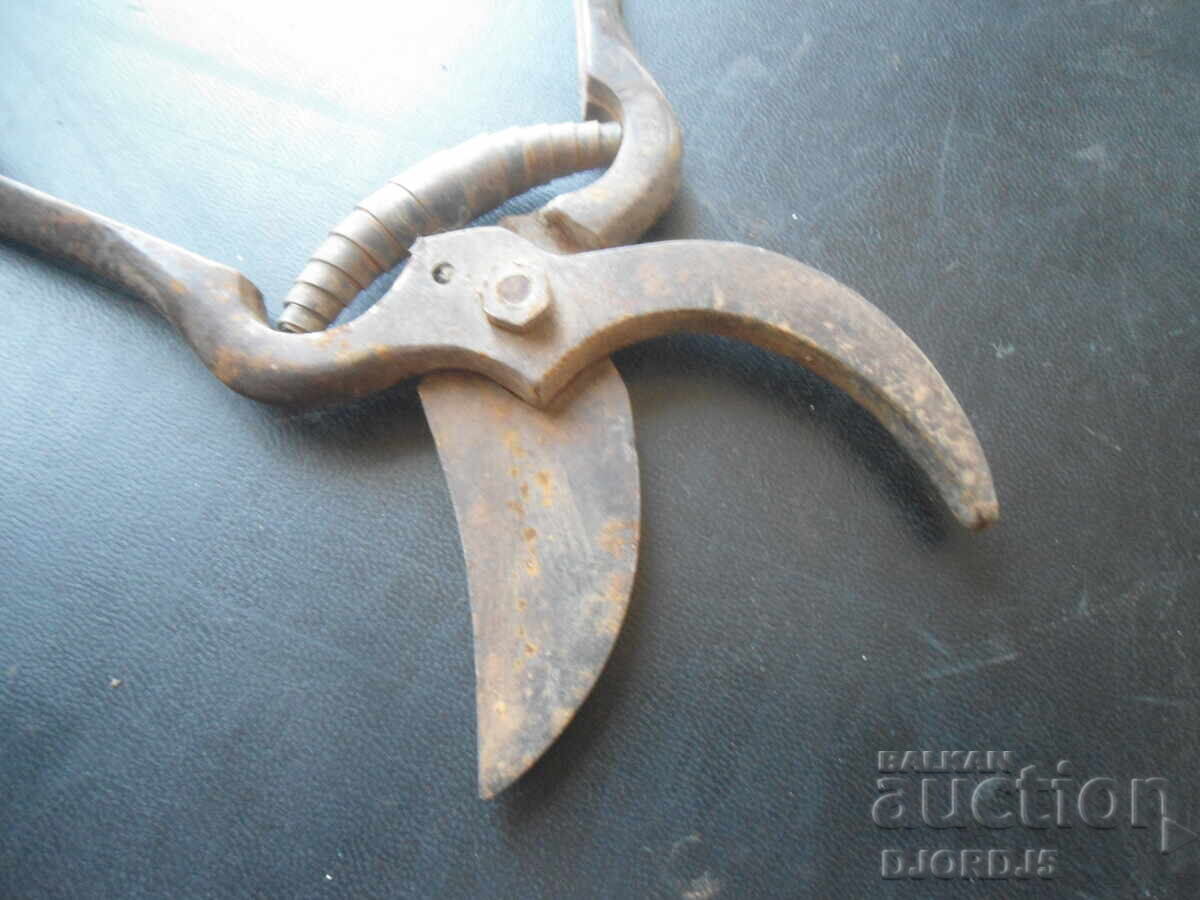 Old vine shears with price 5.00 BGN | € 2.56