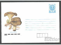 1990 P 2882 - Mushrooms, Chanterelle