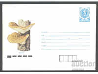 1990 P 2884 - Mushrooms, Trout