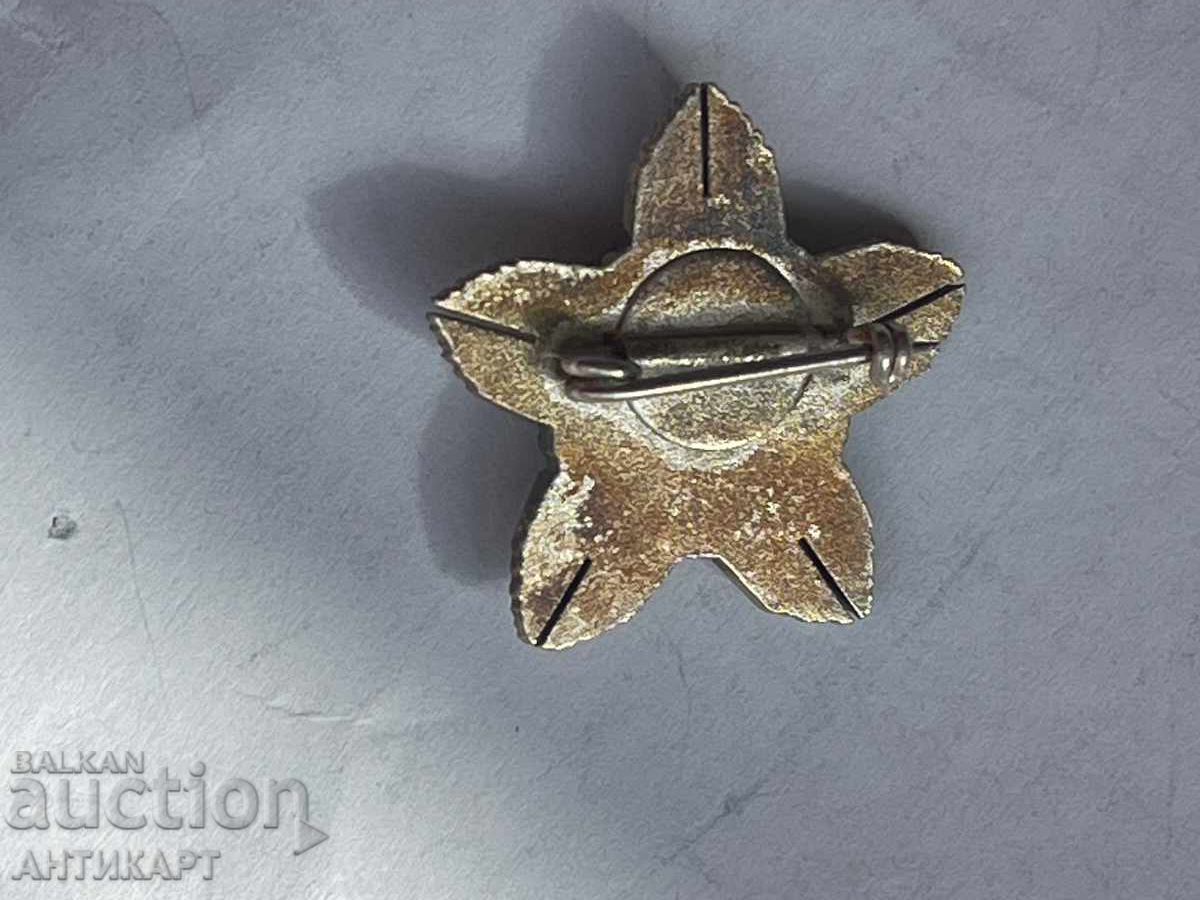 Δημοπρασία πολύ σπάνια μινιατούρα για το Τάγμα του 13ου αιώνα Βουλγαρία 1981