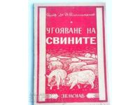 Îngrășare porci H. Platikanov