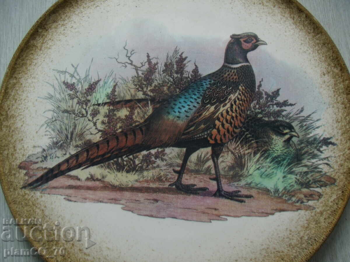 №*7979 παλιό κεραμικό πιάτο - ceramisa V.A.R.M με τιμή 20.00 BGN | € 10.23