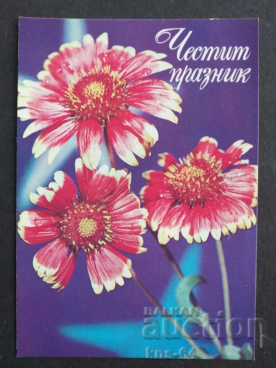 De felicitare De felicitare