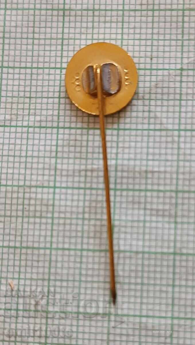 Доставка на Значка- ДФС Добруджа Толбухин Доставка на Значка- ДФС Добруджа Толбухин