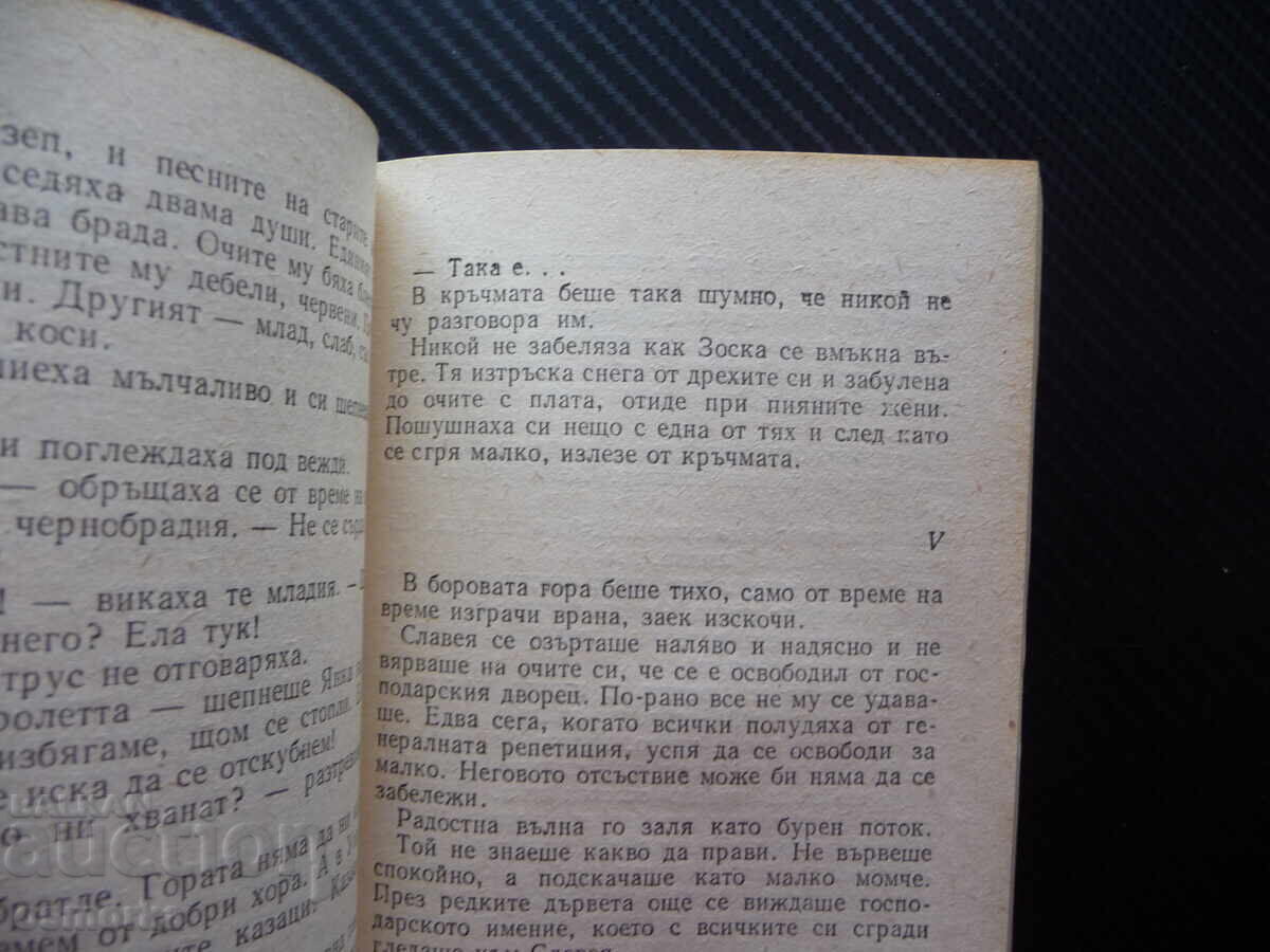 Σλαβεία Ζμίτροκ Μπιαντούλια Βιβλιοθήκη Πανόραμα Σειρά Πεζογραφία λευτσέ με τιμή 1.00 BGN | € 0.51