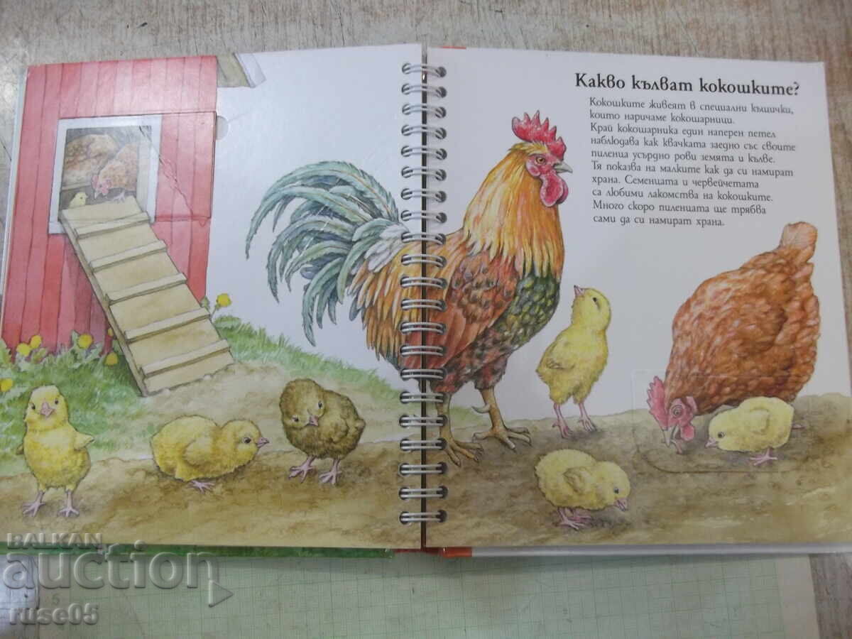 Βιβλίο "Τα οικόσιτα ζώα - Άνε Μέλερ" - 16 σελ - 5