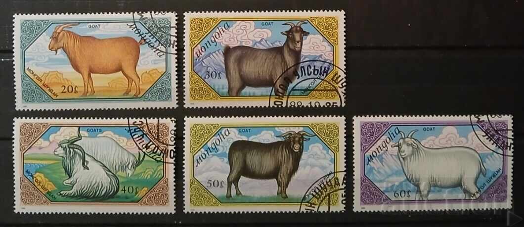 Монголия Фауна