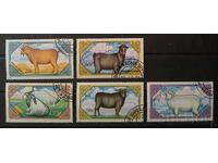 Монголия Фауна