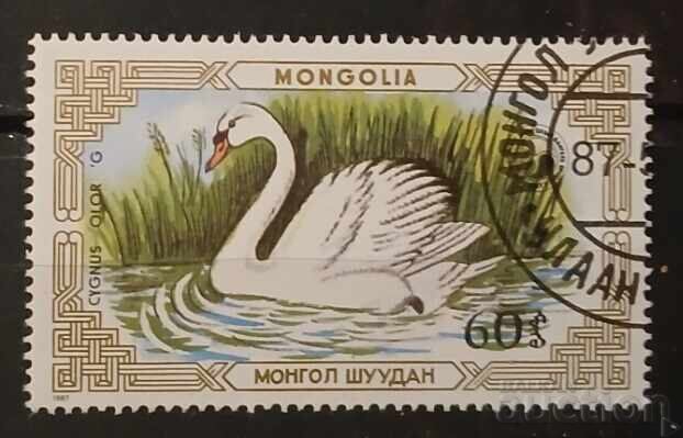 Монголия Фауна/Птици Монголия Фауна/Птици