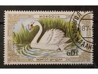 Монголия Фауна/Птици