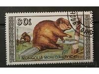 Монголия Фауна