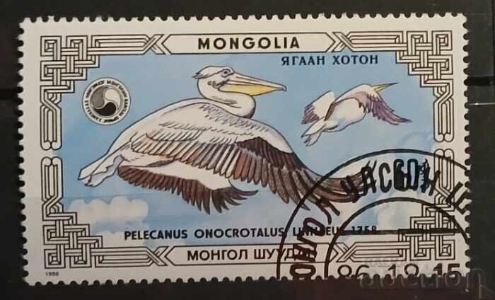 Πανίδα/Πουλιά της Μογγολίας Πανίδα/Πουλιά της Μογγολίας