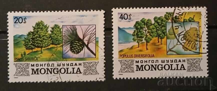 Mongolia Flora Mongolia Flora