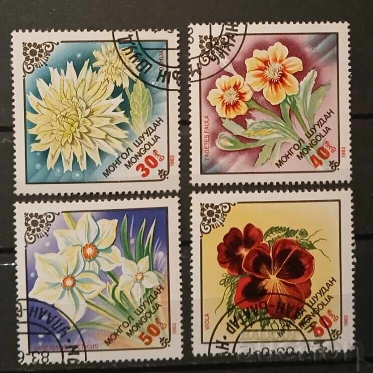 Mongolia Flora/Flowers Mongolia Flora/Flowers