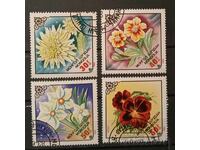Mongolia Flora/Flowers