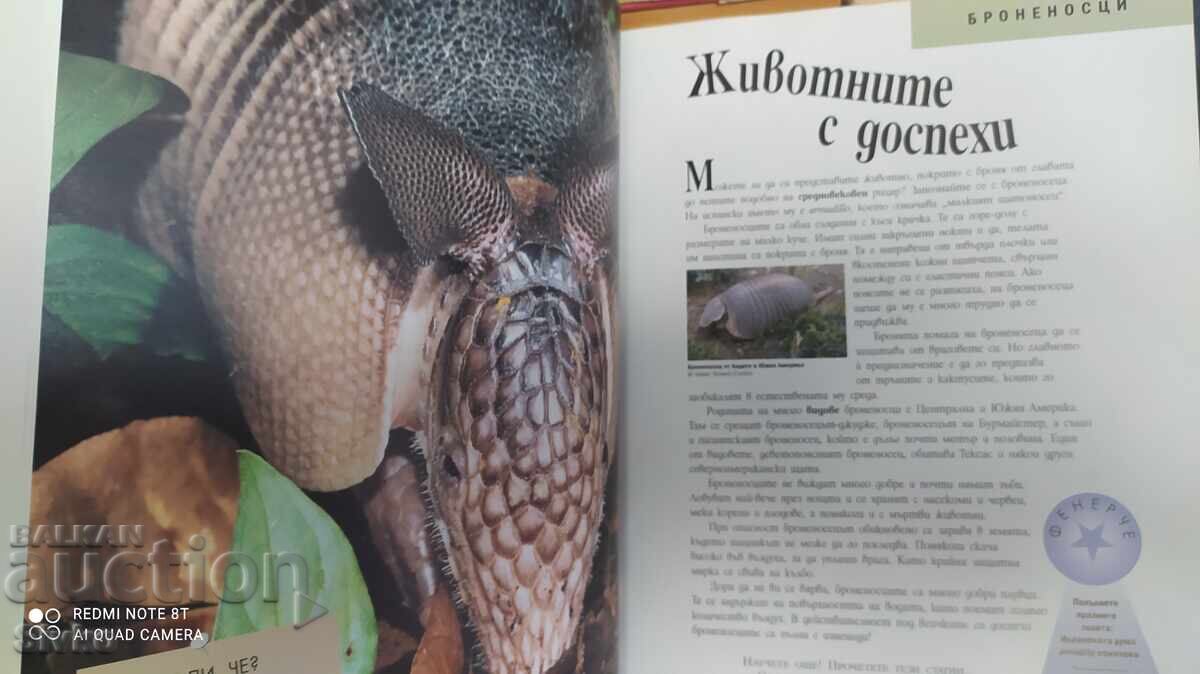 Δημοπρασία Τα θαύματα της άγριας φύσης