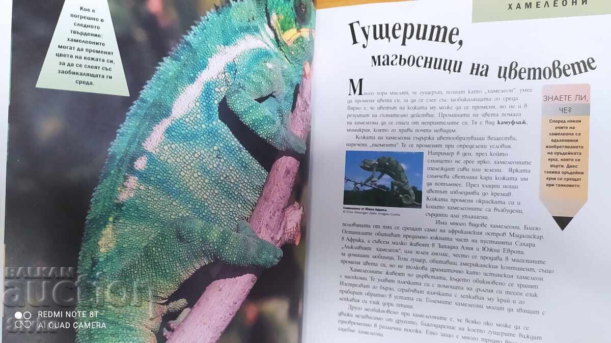 Παράδοση Τα θαύματα της άγριας φύσης