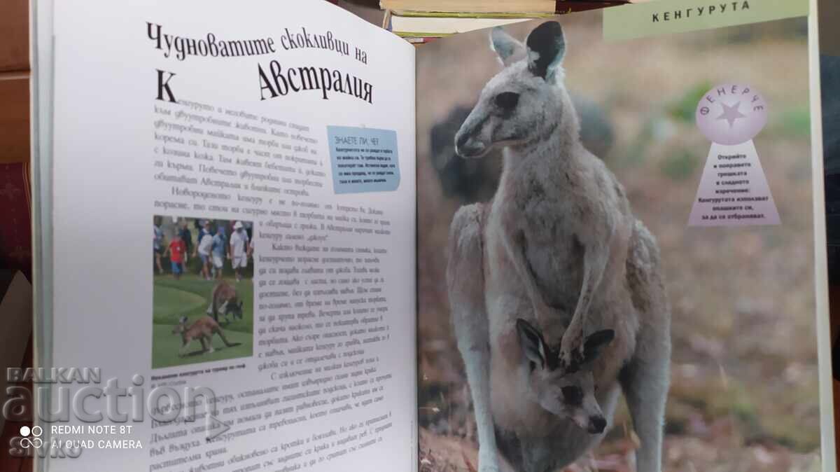 Τα θαύματα της άγριας φύσης - 5