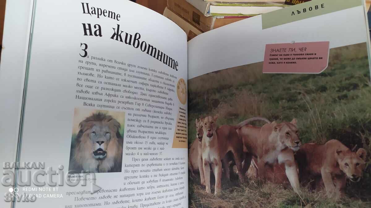 Τα θαύματα της άγριας φύσης - 6