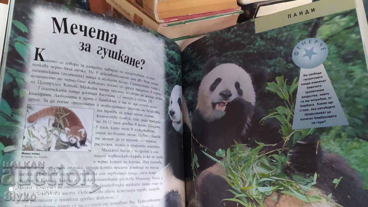 Τα θαύματα της άγριας φύσης - 7