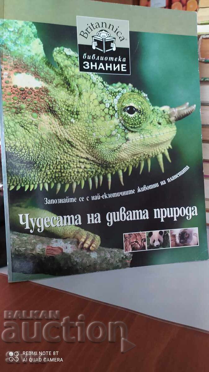 Τα θαύματα της άγριας φύσης