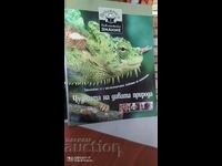 Τα θαύματα της άγριας φύσης