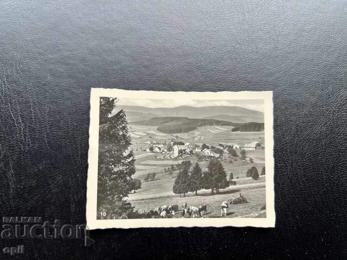 Mica Cărțișoară/Fotografie Veche