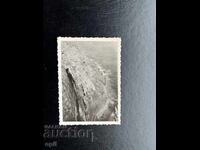 Малка Стара Картичка/Снимка