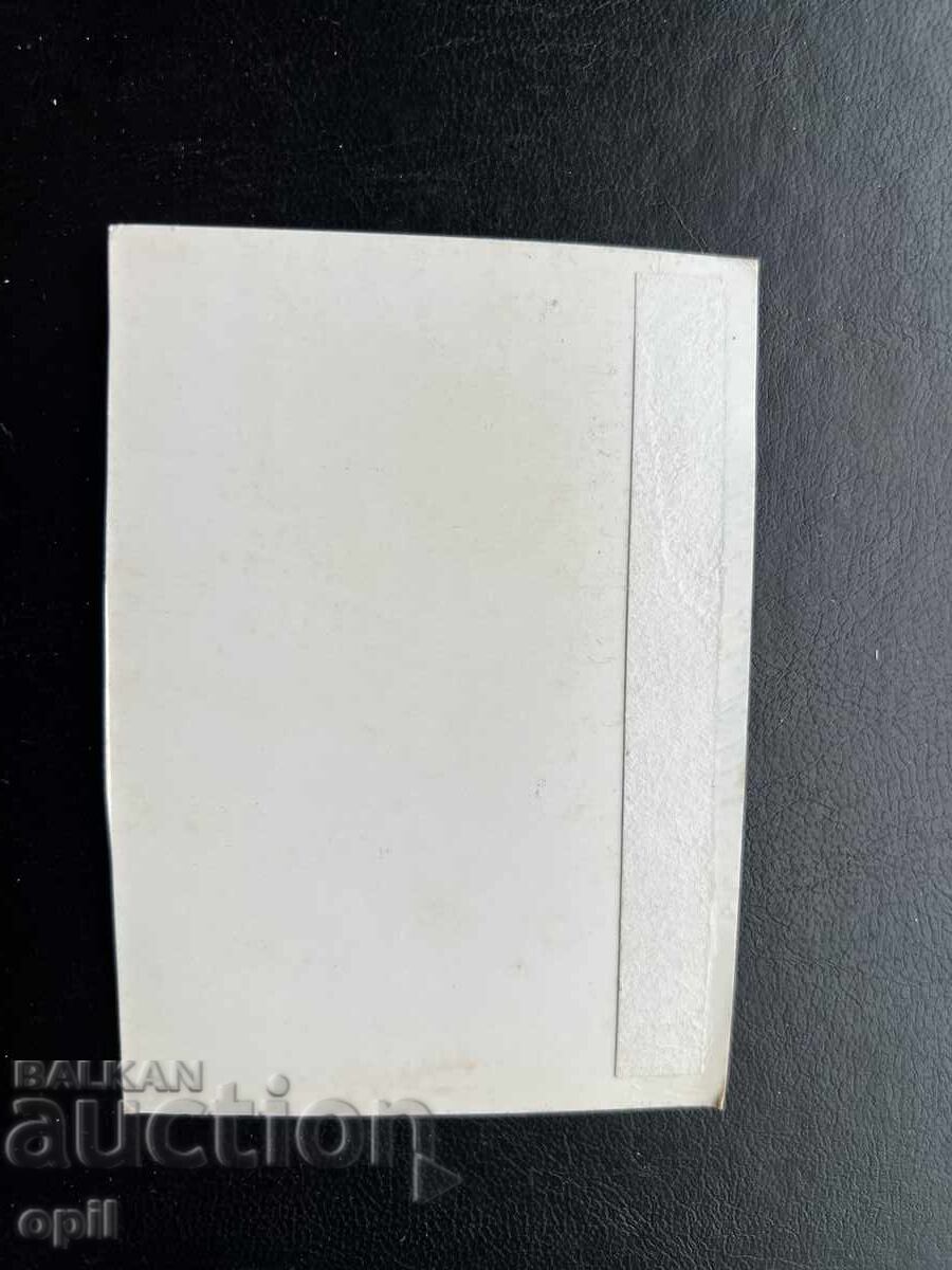 Small Old Postcard - Italy - Lake Garda with price 0.30 BGN | € 0.15