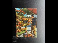 Μικρή Παλιά Κάρτα - Ιταλία - Κόμο