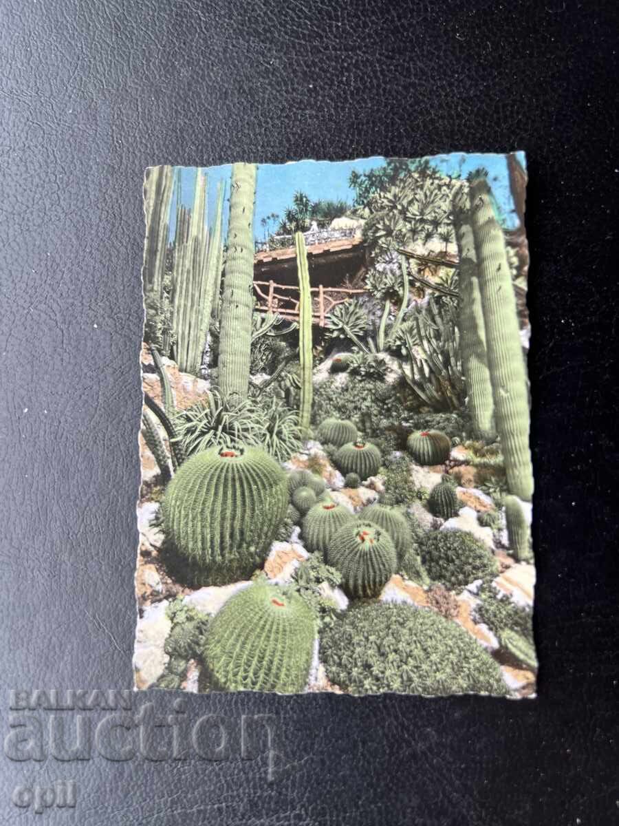 Малка Стара Картичка - Монако Малка Стара Картичка - Монако