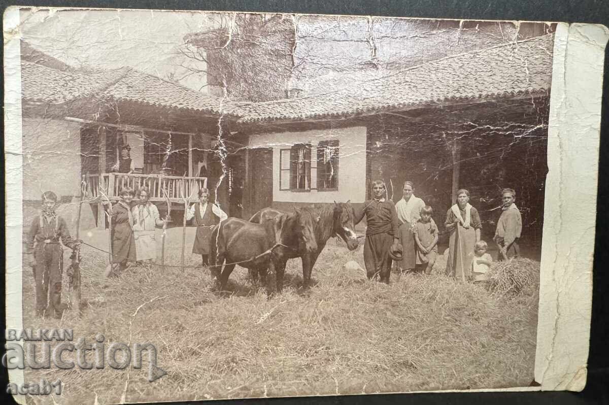 For Sale with Damazluk (or From Damazluk) For Sale with Damazluk (or From Damazluk)