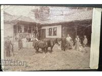 For Sale with Damazluk (or From Damazluk)