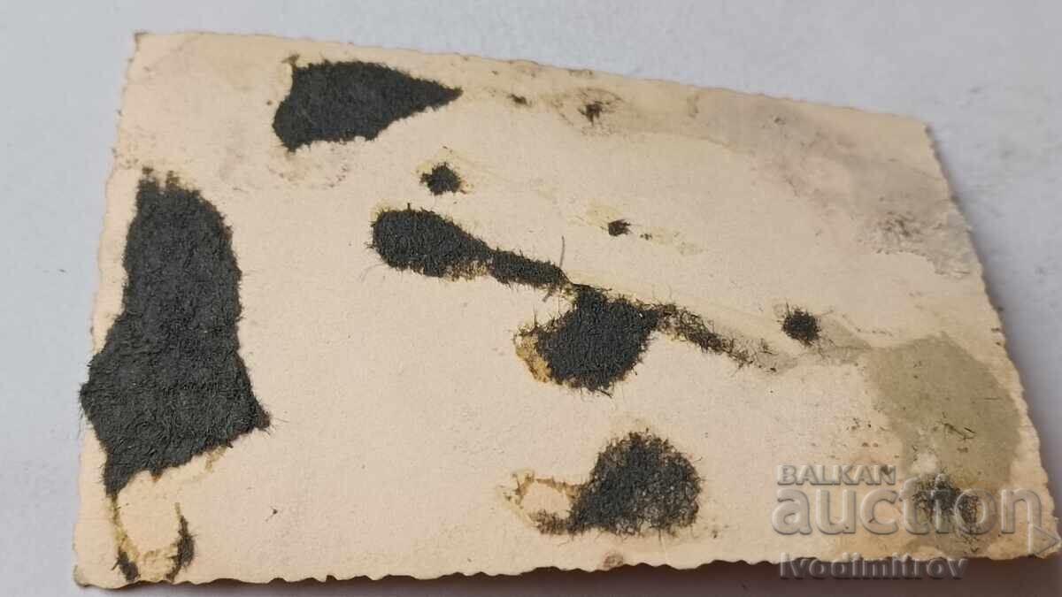 Снимка Футболен отбор с цена 2.35 лв. | € 1.20 Снимка Футболен отбор с цена 2.35 лв. | € 1.20