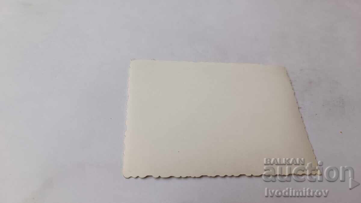 Fotografie: Tânăr și două fete șezând pe iarbă cu preț 1.45 BGN | € 0.74