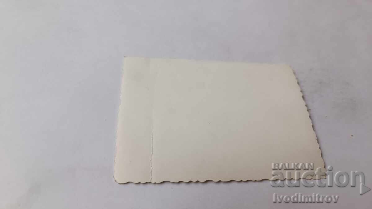 Снимка Младеж и девойки седнали на тревата с цена 1.45 лв. | € 0.74 Снимка Младеж и девойки седнали на тревата с цена 1.45 лв. | € 0.74