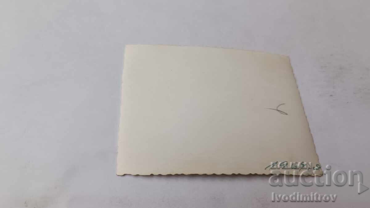 Photo of Young Men and Women Sitting on a Cliff Overlooking the Sea with price 1.45 BGN | € 0.74