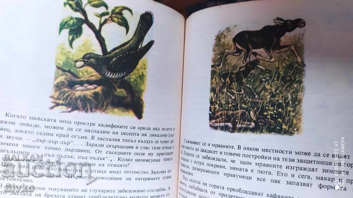 Kaleidoscope of Nature, A. Kalecki, First Edition, Very Good - 6